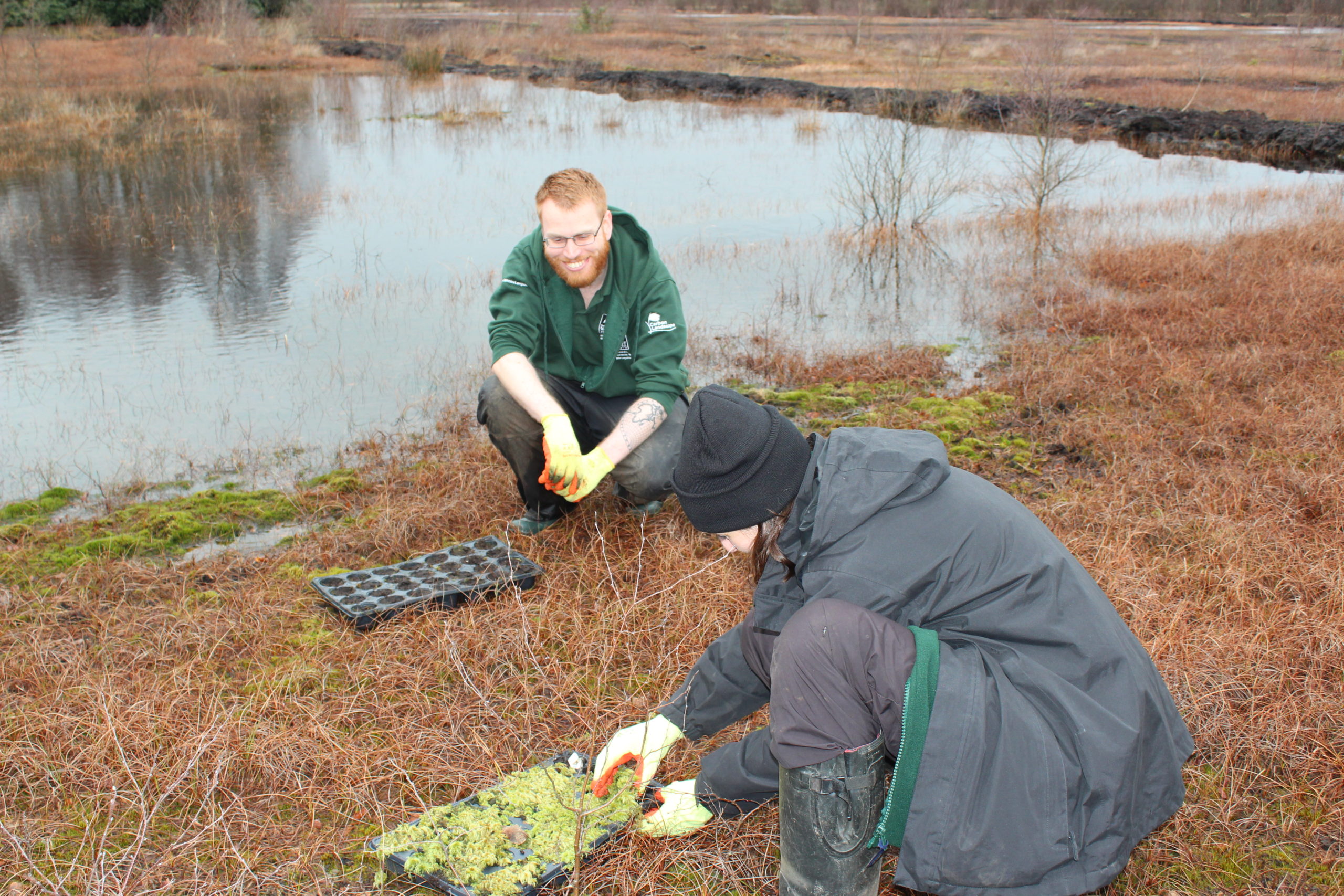 Mossland Planting (c) Becky Royce