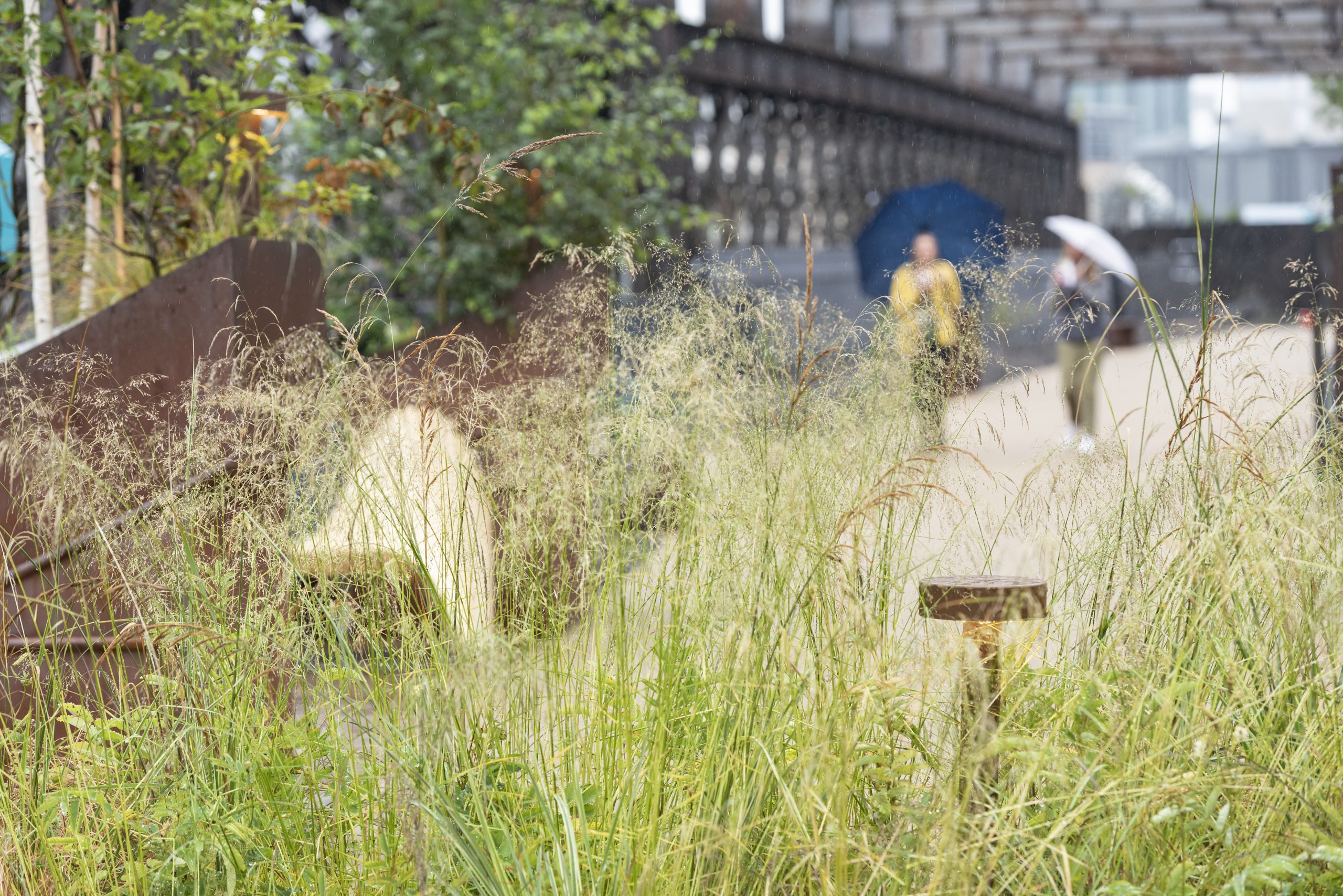 Opening of a new green space on Castlefield Viaduct, Manchester ©National Trust Images Paul Harris